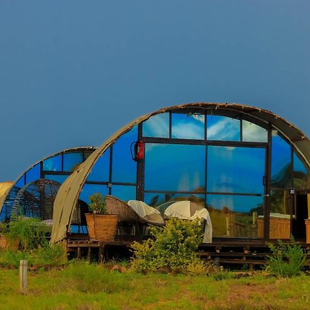 Hotel Little Amanya Camp Amboseli Exterior foto